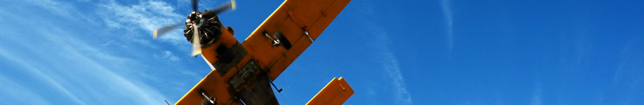 Getting Your Financial Ducks In A Row Rotating Header Image