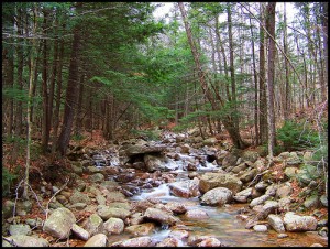 mountain-stream-by-jasonb42882 mountain-stream-by-jasonb42882