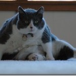 Coming Soon: No Change For the Financial Services Consumer If FatCats Get Their Way