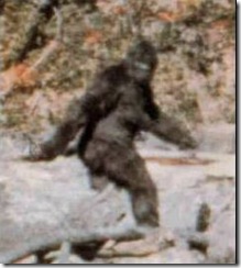 bigfoot bigfoot