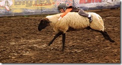 800px-Hold_on_to_the_sheep