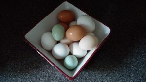 eggs-basket