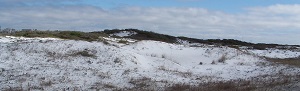 roth dune